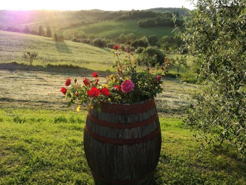 Bed & Breakfast La Pievina