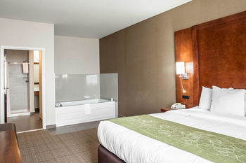 Hotel Comfort Suites Dover
