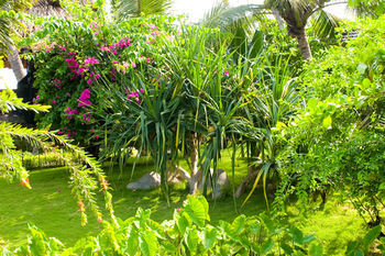 Hotel Hoang Ngoc Resort