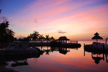 Hotel Amy Slate's Amoray Dive Resort