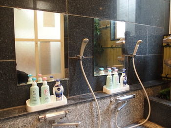 Hotel Guesthouse Hiiragi