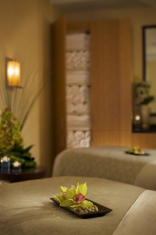 Hotel Hilton Orlando