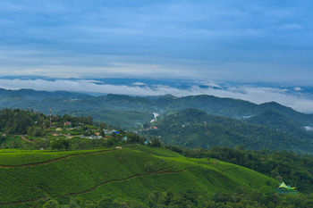 Hotel Misty Mountain Resort