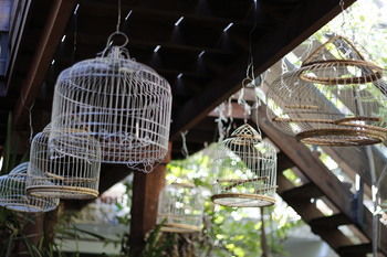 Hotel Cambana D'angkor Suites