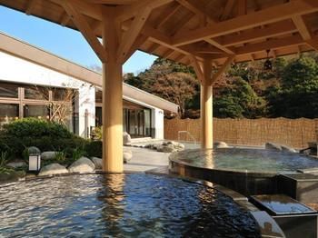 Hotel Hakone Yumoto Onsen Tenseien