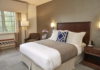 Hotel Rizzo Center