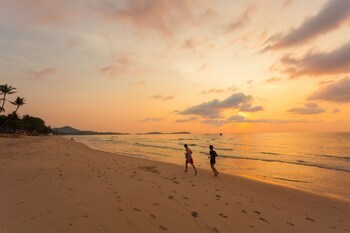 Hotel The Samui Beach Resort
