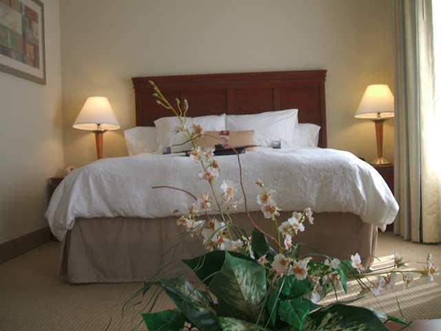 Hotel Hampton Inn & Suites Reno Nv