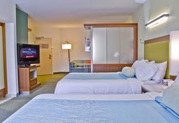 Hotel Springhill Suites By Marriott Charlotte Ballantyne Area