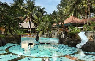 Hotel Melia Purosani