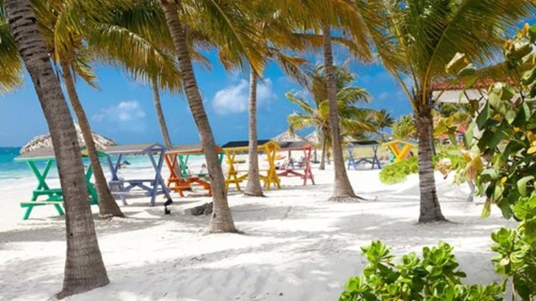 Flamingo Bay Hotel & Marina