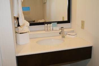 Hotel Holiday Inn Express Birch Run - Frankenmuth Area
