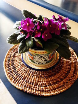 Casa D' Campo Tababela Hotel Boutique