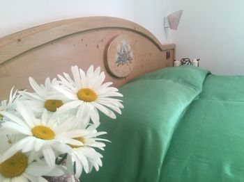 Hotel Tosa