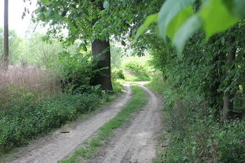Pension Wein- & Schlafgut K�ssler