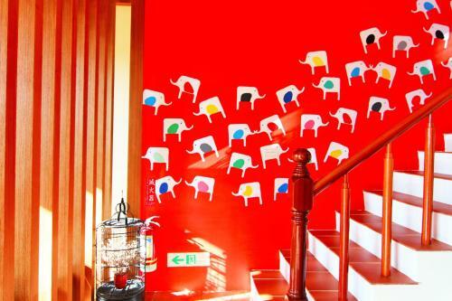 Ibali Hostel
