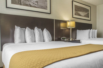 Quality Hotel