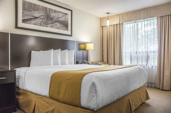 Quality Hotel