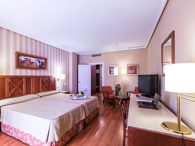 Hotel TRH Alcora (junior Suite)