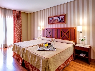 Hotel TRH Alcora (junior Suite)