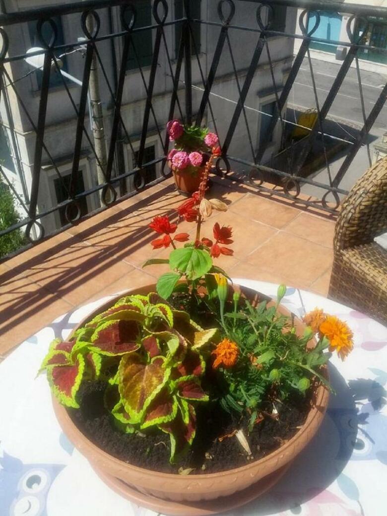 Hotel Villa Tiziana