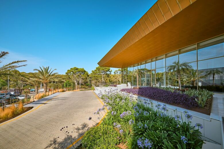 Hotel Hipotels Playa De Palma Palace