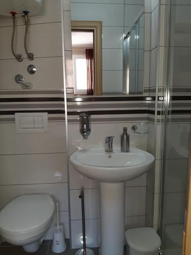 Residencia Carolrooms