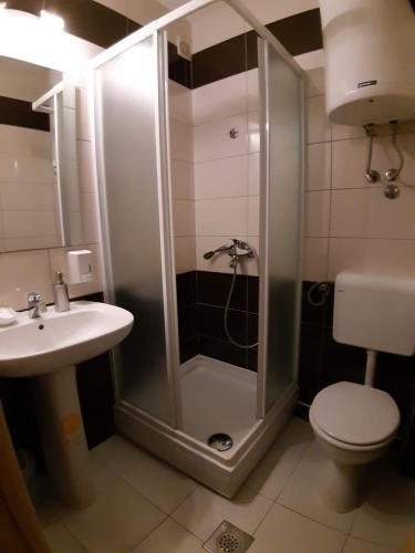 Residencia Carolrooms