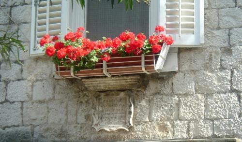 Residencia Carolrooms