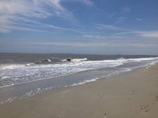 Hotel Comfort Inn - South Forest Beach