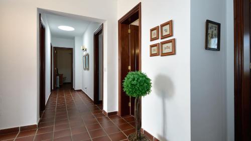 Holiday Villa Campesina