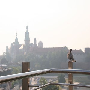 Hotel Kossak