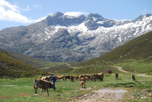 Agroturismo Hotel Rural La Posada El Sestil