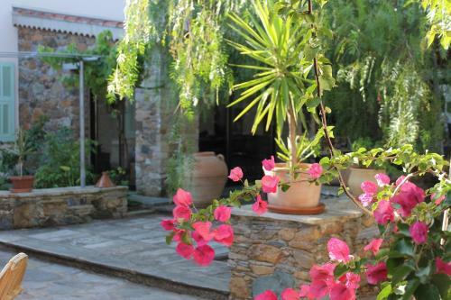 B&B Le Clos Des Oliviers