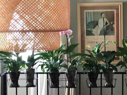 Apartamento Atico Eloy Delgado