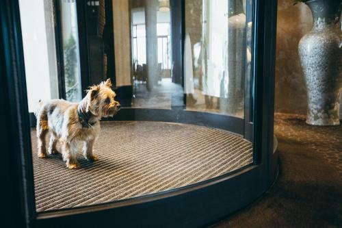 Hotel H�tel Barri�re Le Royal La Baule