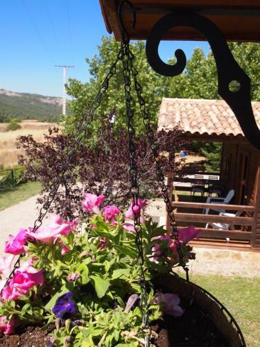 Apartamento Fuente Del Arca