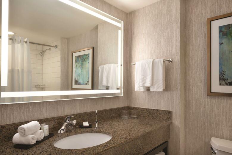 Hotel Embassy Suites Atlanta - At Centennial Olympic Park