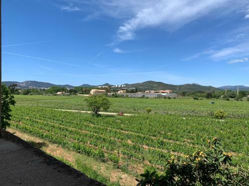 Bastide Des Anglades