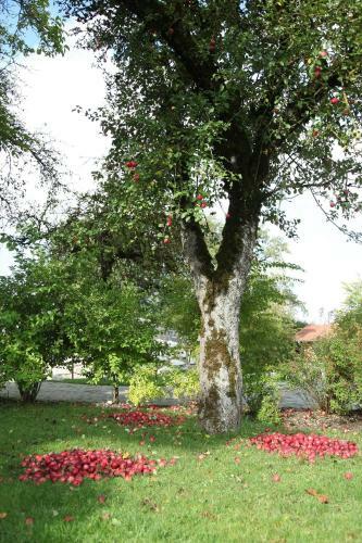 Apartamento Destina-wohnung-hl-margareta