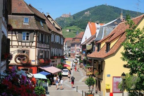 Hotel Le Haut Koenigsbourg