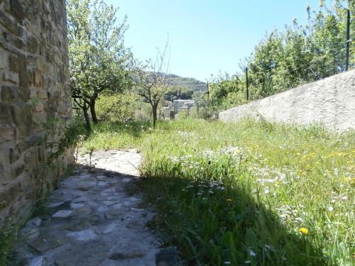 Jadis Et Le Jardin D'hesp�rides