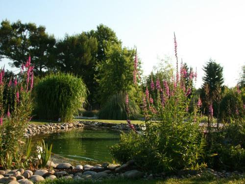 Bed & Breakfast Couleur Lavande