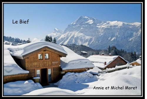 Apartamento Demi-chalet Le Bief --prox Pistes