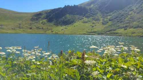 Apartamento Demi-chalet Le Bief --prox Pistes