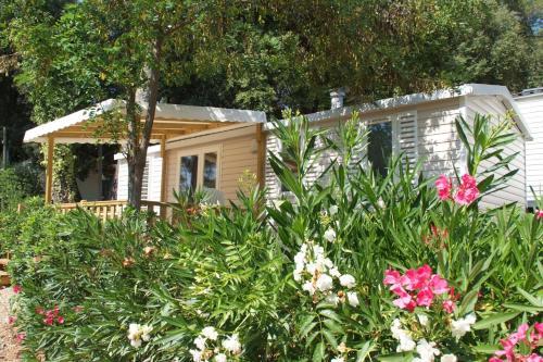 Camping De La Foux