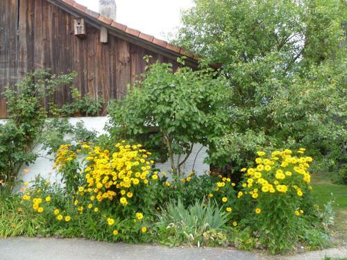 Hostal Haus Lissi