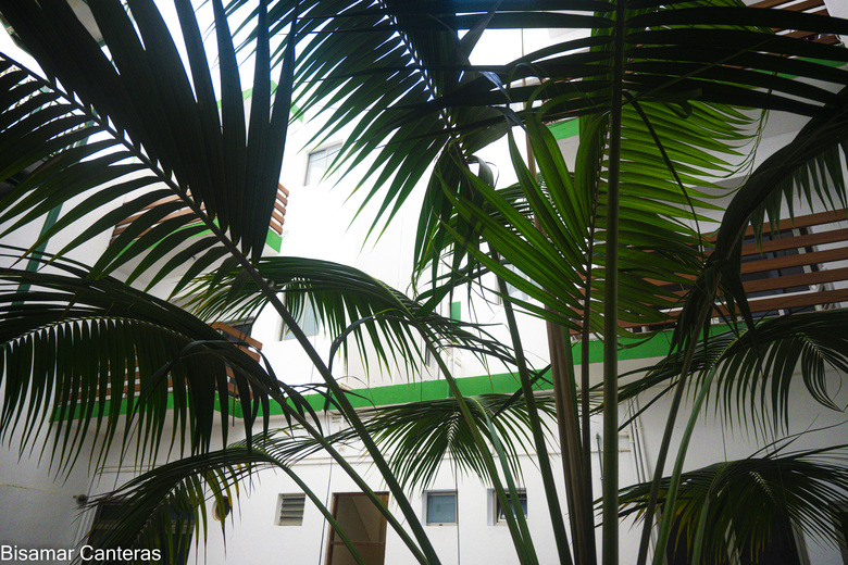 Apartamentos Brisamar Canteras