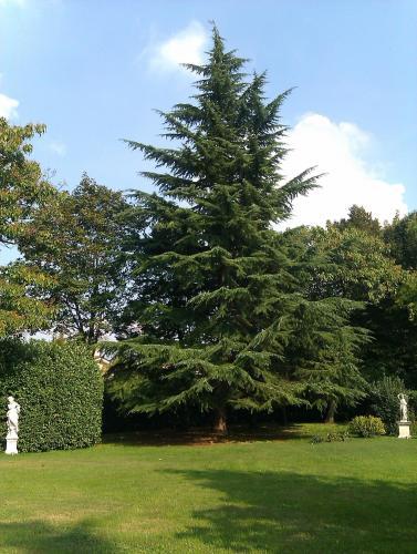 Bed & Breakfast Villa Zane
