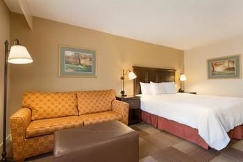 Hotel Hampton Inn Dallas-irving-las Colinas Tx